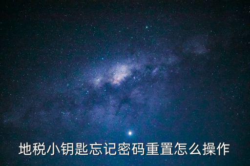 地稅密碼重置需要什么，地稅網(wǎng)上納稅申報(bào)密碼忘記了
