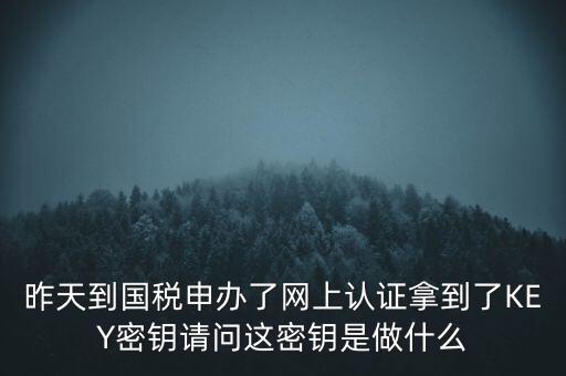 稅務(wù)認(rèn)證密碼是什么，昨天到國稅申辦了網(wǎng)上認(rèn)證拿到了KEY密鑰請問這密鑰是做什么