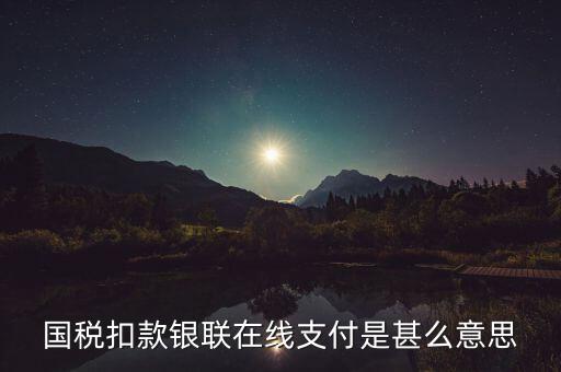稅務(wù)銀聯(lián)快捷繳費(fèi)是什么意思，國(guó)稅扣款銀聯(lián)在線支付是甚么意思