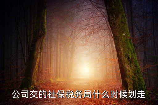 公司交的社保稅務(wù)局什么時(shí)候劃走