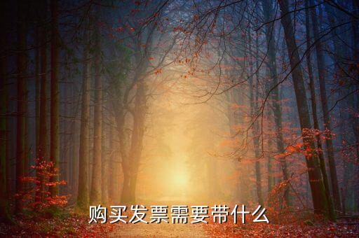 長(zhǎng)春購(gòu)置發(fā)票需要什么資料，初次購(gòu)買(mǎi)發(fā)票要什么資料