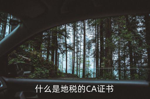 什么叫地稅CA用戶，什么是CA用戶