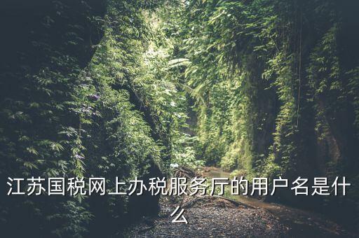 江蘇國稅網(wǎng)上辦稅服務(wù)廳的用戶名是什么