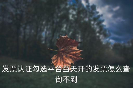 為什么網(wǎng)頁(yè)發(fā)票查詢(xún)不了，開(kāi)了發(fā)票為什么在國(guó)稅官網(wǎng)上查詢(xún)不到