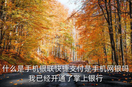 什么是手機銀聯(lián)快捷支付是手機網(wǎng)銀嗎我已經(jīng)開通了掌上銀行
