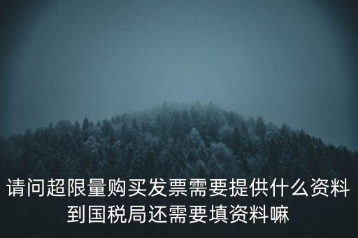 請(qǐng)問(wèn)超限量購(gòu)買發(fā)票需要提供什么資料到國(guó)稅局還需要填資料嘛