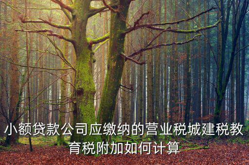 小額貸款公司如何繳稅，小額貸款公司的營業(yè)稅怎么算 sitewenwensosocom