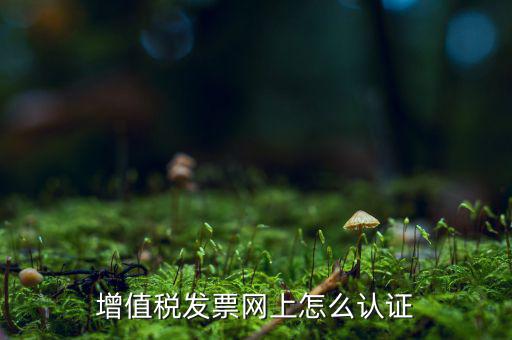 增值稅發(fā)票網(wǎng)上怎么認證