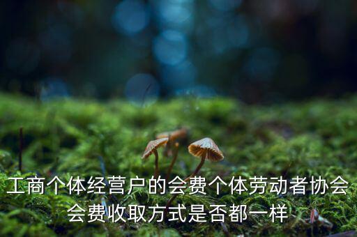 工商個體經(jīng)營戶的會費個體勞動者協(xié)會會費收取方式是否都一樣