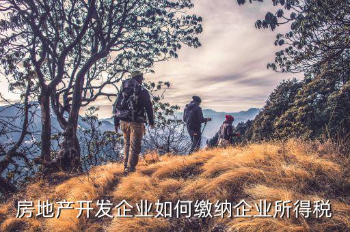 房地產(chǎn)企業(yè)如何申報(bào)稅，房產(chǎn)稅怎么申報(bào)