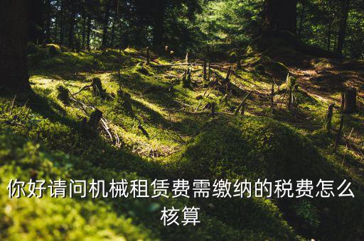 你好請問機(jī)械租賃費需繳納的稅費怎么核算