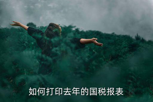 如何打印去年的國稅報(bào)表