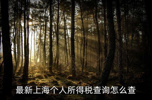 上海個人所得稅如何查詢，最新上海個人所得稅查詢怎么查