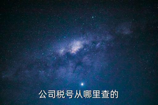 公司稅號(hào)從哪里查的