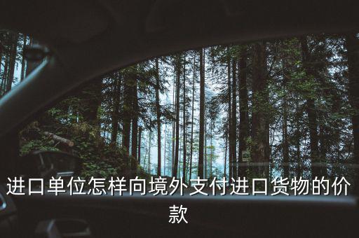 企業(yè)如何境外付款嗎，進(jìn)口單位怎樣向境外支付進(jìn)口貨物的價款