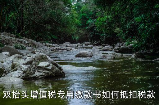代理進口雙抬頭增值稅如何抵扣，海關(guān)稅單雙抬頭 增值稅抵扣問題