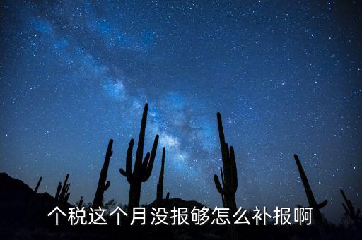 如何補(bǔ)報(bào)個(gè)人所得稅，個(gè)人所得稅報(bào)錯(cuò)了怎么補(bǔ)報(bào)