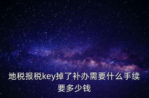 地稅報稅key掉了補(bǔ)辦需要什么手續(xù)要多少錢