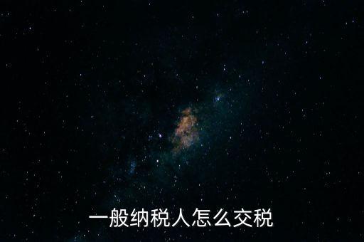 一般納稅人怎么交稅