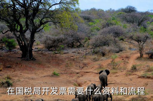 國(guó)稅局批票如何辦理，在國(guó)稅局開發(fā)票需要什么資料和流程