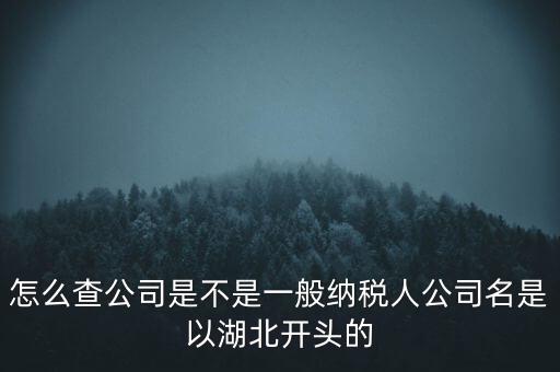 如何查詢企業(yè)是否是一般納稅人，怎么查公司是不是一般納稅人公司名是以湖北開(kāi)頭的