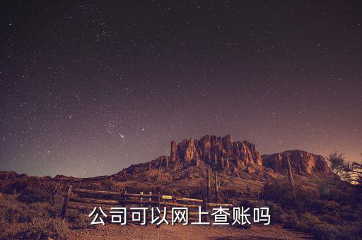 公司可以網(wǎng)上查賬嗎