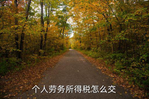 個人勞務(wù)費(fèi)如何繳稅，勞務(wù)報(bào)酬所得怎么繳納個人所得稅
