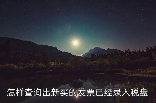 怎樣查詢(xún)出新買(mǎi)的發(fā)票已經(jīng)錄入稅盤(pán)