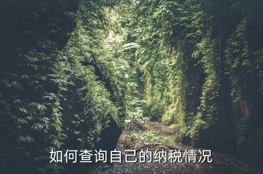 如何查詢自己的納稅情況