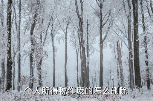 如何刪除已審核的地稅報(bào)表，已遞上的地稅網(wǎng)上財(cái)務(wù)報(bào)表系統(tǒng)的報(bào)表能否刪除