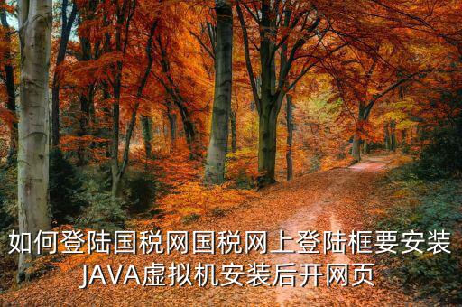 如何登陸國(guó)稅網(wǎng)國(guó)稅網(wǎng)上登陸框要安裝JAVA虛擬機(jī)安裝后開(kāi)網(wǎng)頁(yè)