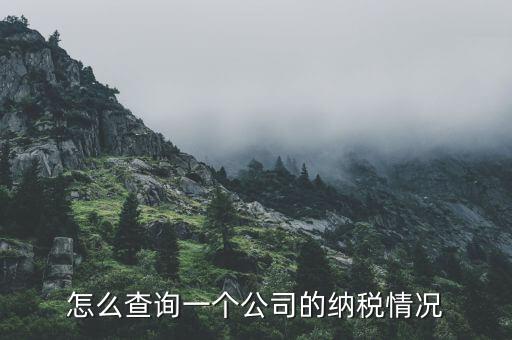 怎么查詢一個公司的納稅情況