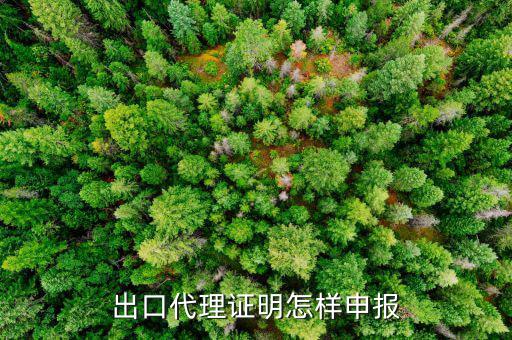 代理出口貨物證明如何報稅，出口代理證明怎樣申報