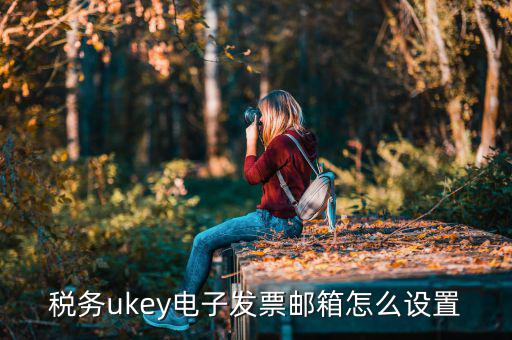 稅務(wù)ukey電子發(fā)票郵箱怎么設(shè)置