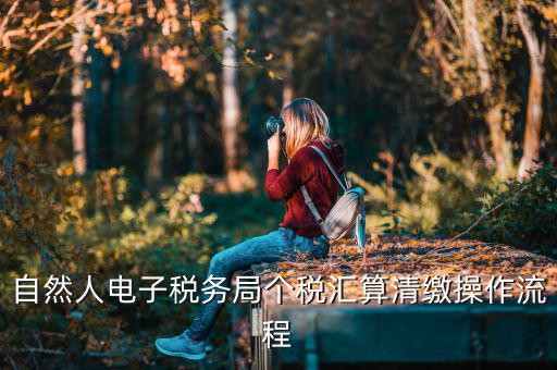 如何使用匯算清繳客戶端，自然人電子稅務局個稅匯算清繳操作流程