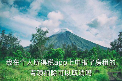 我在個(gè)人所得稅app上申報(bào)了房租的專項(xiàng)扣除可以取消嗎