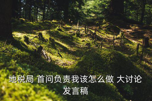 地稅局 首問負責我該怎么做 大討論發(fā)言稿