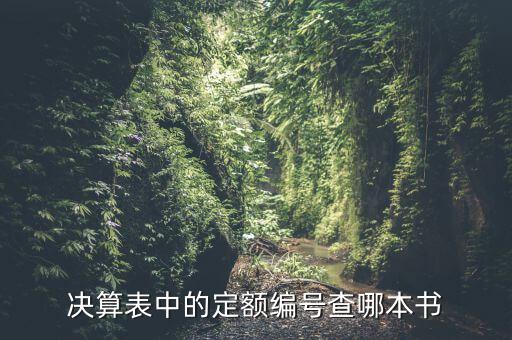 決算表中的定額編號(hào)查哪本書