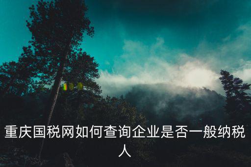 重慶國稅網(wǎng)如何查詢企業(yè)是否一般納稅人