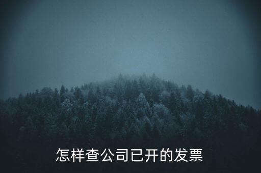 如何查企業(yè)的開票資料，如何查詢其他企業(yè)開具給本企業(yè)的發(fā)票