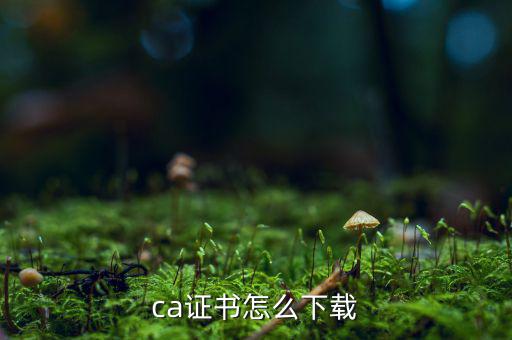 ca證書怎么下載