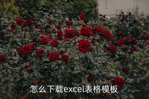 怎么下載excel表格模板