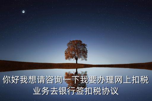 你好我想請咨詢一下我要辦理網(wǎng)上扣稅業(yè)務(wù)去銀行簽扣稅協(xié)議