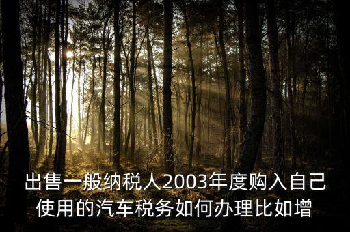 出售一般納稅人2003年度購入自己使用的汽車稅務如何辦理比如增