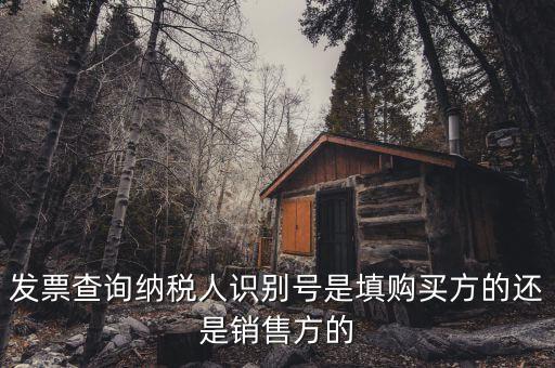 發(fā)票查詢納稅人識(shí)別號(hào)是填購(gòu)買方的還是銷售方的