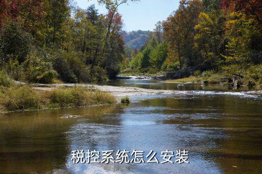稅控系統(tǒng)怎么安裝