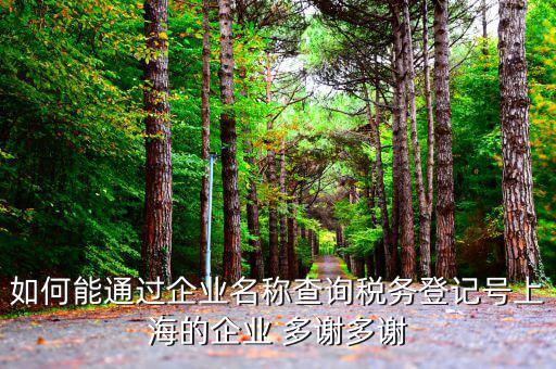 如何查詢稅務登記號碼，如何能通過企業(yè)名稱查詢稅務登記號上海的企業(yè) 多謝多謝