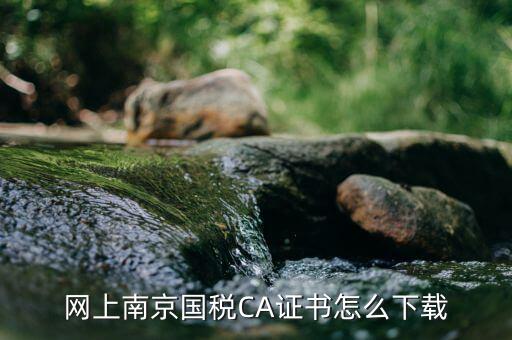 網(wǎng)上南京國稅CA證書怎么下載