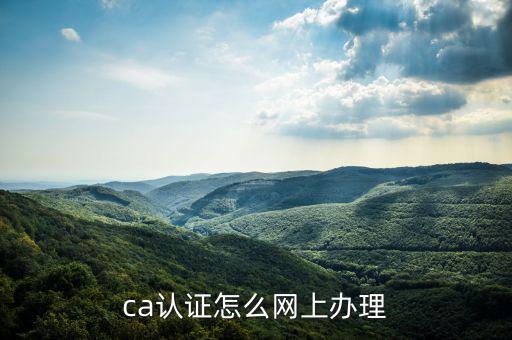 四川網(wǎng)上稅務(wù)如何ca登錄，ca證書如何登錄國稅