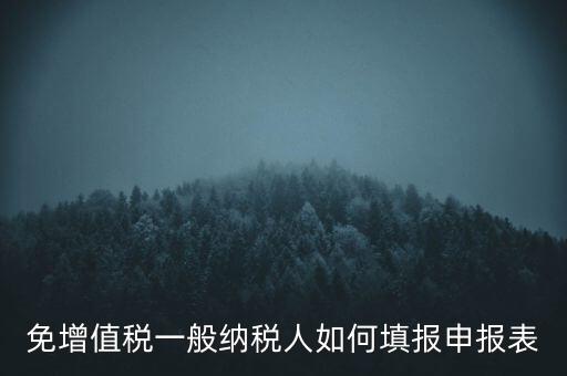 免稅如何填寫申報表，免稅企業(yè)如何填報增值稅納稅申報表